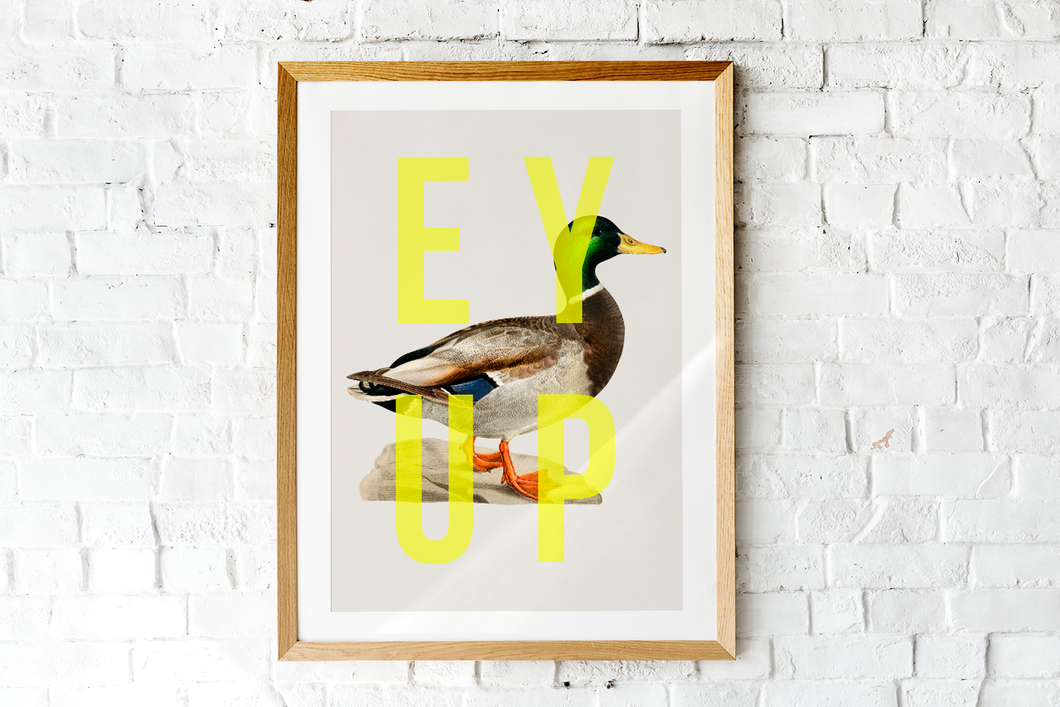 Ey Up Duck (Large)