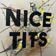 Load image into Gallery viewer, Nice Tits (blue tit &amp; great tit) 🖤