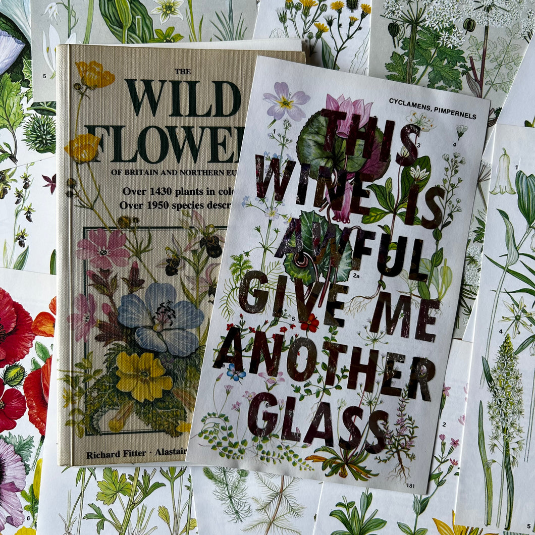 This Wine Is Awful (cyclamens)
