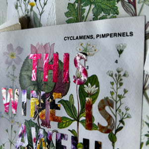 This Wine Is Awful (cyclamens)