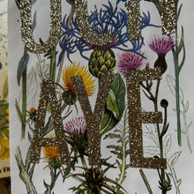 Load image into Gallery viewer, Och Aye (knapweeds, star thistles)