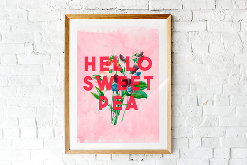 Hello Sweet Pea (Large)