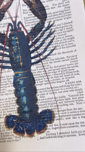 Load image into Gallery viewer, Vintage Lobster