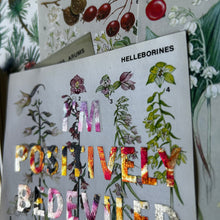 Load image into Gallery viewer, Positively Bedeviled (helleborines)