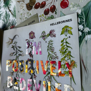 Positively Bedeviled (helleborines)