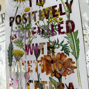 Positively Bedeviled (ox-eye daisy)