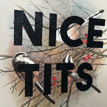 Load image into Gallery viewer, Nice Tits (long-tailed tit) 🖤