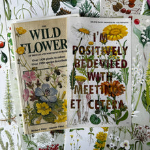 Load image into Gallery viewer, Positively Bedeviled (ox-eye daisy)