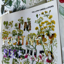Load image into Gallery viewer, Positively Bedeviled (yellow umbellifers)