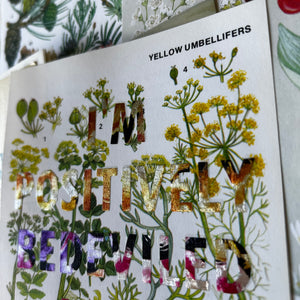 Positively Bedeviled (yellow umbellifers)