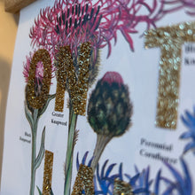 Load image into Gallery viewer, On the land, the sea, the sky