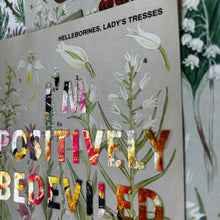 Load image into Gallery viewer, Positively Bedeviled (helleborines/lady’s tresses)