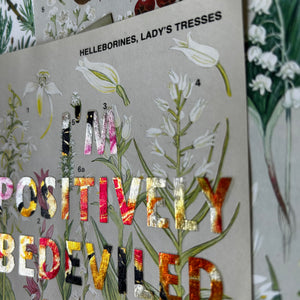 Positively Bedeviled (helleborines/lady’s tresses)