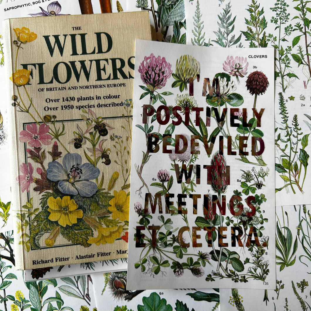 Positively Bedeviled (clovers)