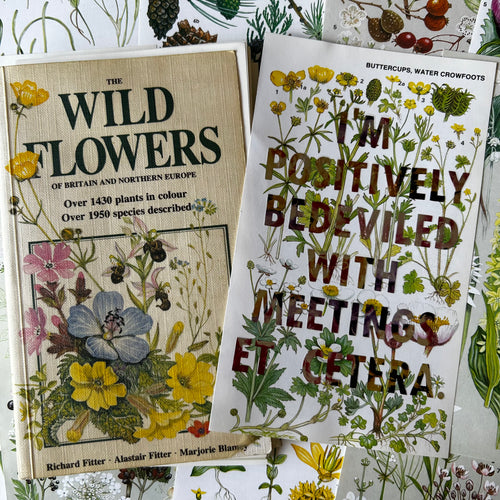 Positively Bedeviled (buttercups)