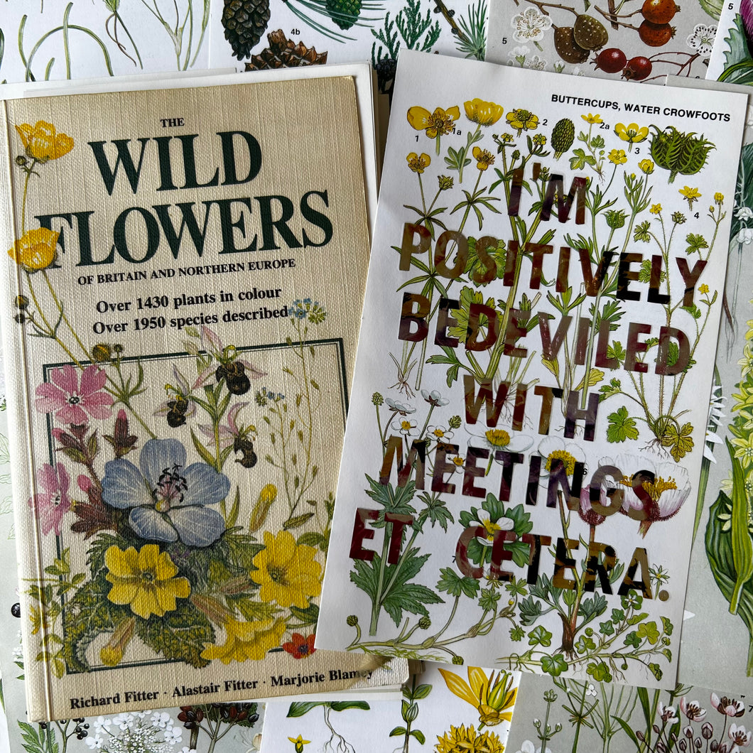 Positively Bedeviled (buttercups)