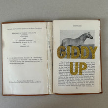 Load image into Gallery viewer, Giddy Up (criollo)