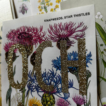 Load image into Gallery viewer, Och Aye (knapweeds, star thistles)