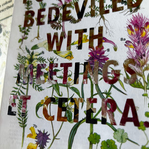 Positively Bedeviled (eyebright)