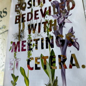 Positively Bedeviled (saprophytic)