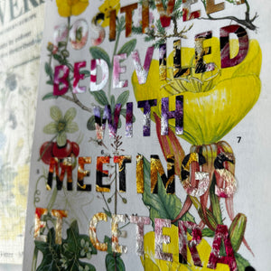 Positively Bedeviled (rock-roses)