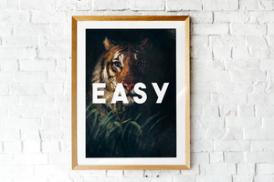 Easy Tiger | New