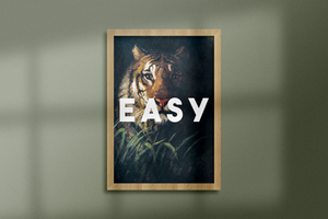 Easy Tiger | New