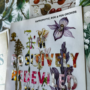 Positively Bedeviled (saprophytic)