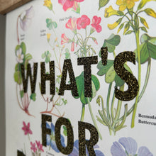 Load image into Gallery viewer, What’s For Dinner?