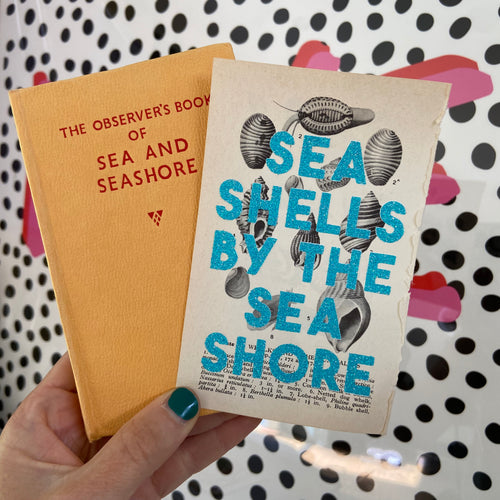 Sea Shells By The Sea Shore (b&w)