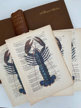 Load image into Gallery viewer, Vintage Lobster