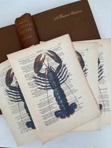 Vintage Lobster