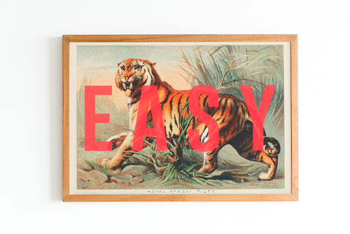 Easy Tiger (Large)