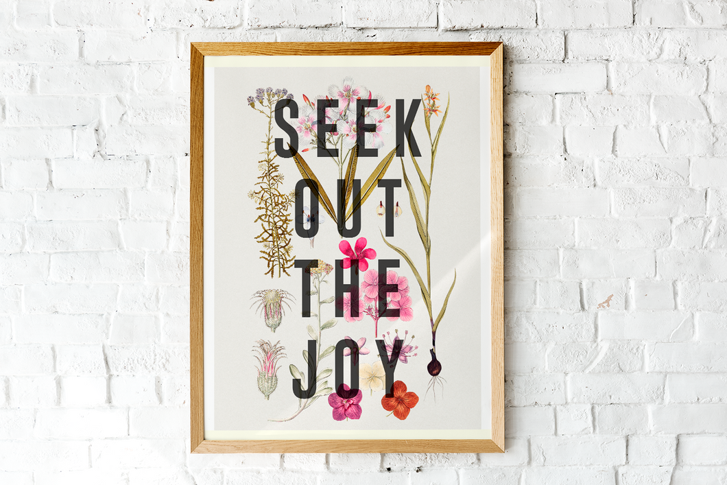 Seek Out The Joy
