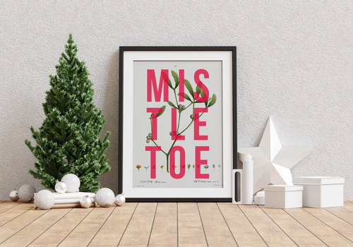 Mistletoe | Print